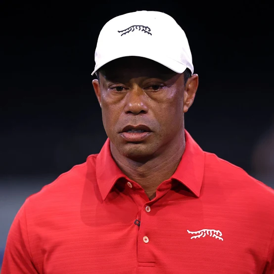 photo courtesy of TGL Golf