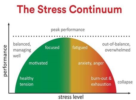 Stress and Anxiety